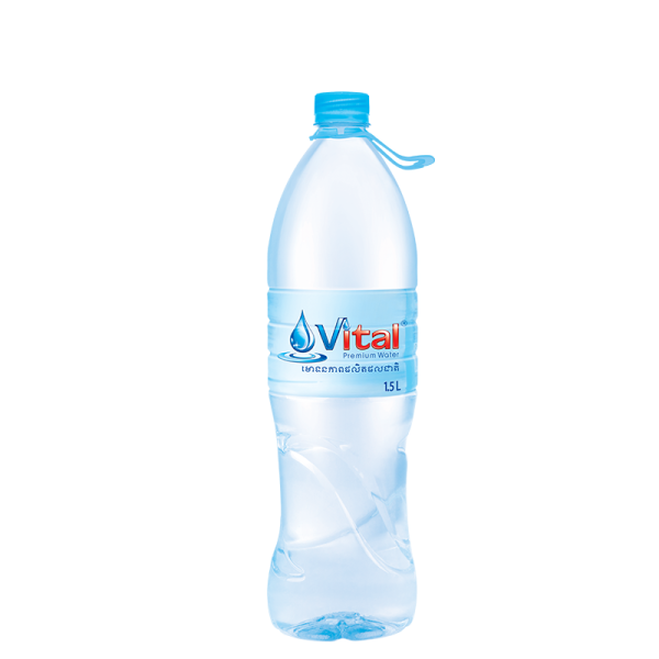 Vital Besar